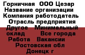 Горничная. ООО Цезар › Название организации ­ Компания-работодатель › Отрасль предприятия ­ Другое › Минимальный оклад ­ 1 - Все города Работа » Вакансии   . Ростовская обл.,Донецк г.